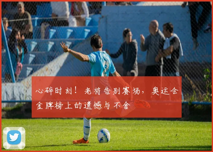 心碎时刻!老将告别赛场,奥运会金牌榜上的遗憾与不舍